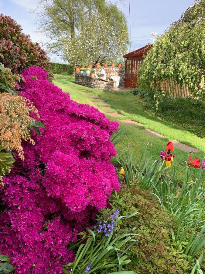 Llanwenarth Cottage A Beautiful Place To Just Be. Abergavenny Zewnętrze zdjęcie