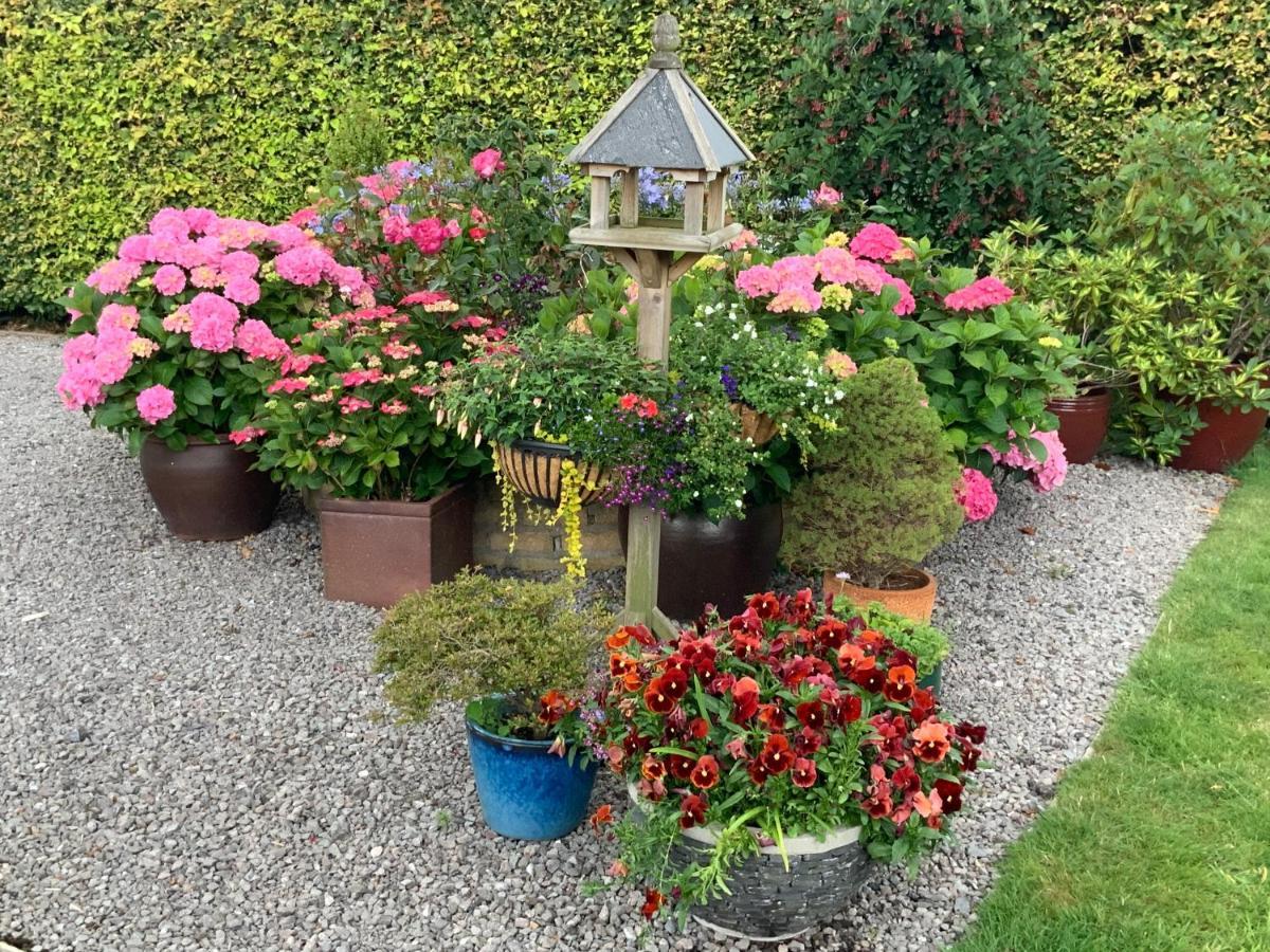 Llanwenarth Cottage A Beautiful Place To Just Be. Abergavenny Zewnętrze zdjęcie